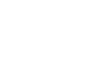 Logo Swan